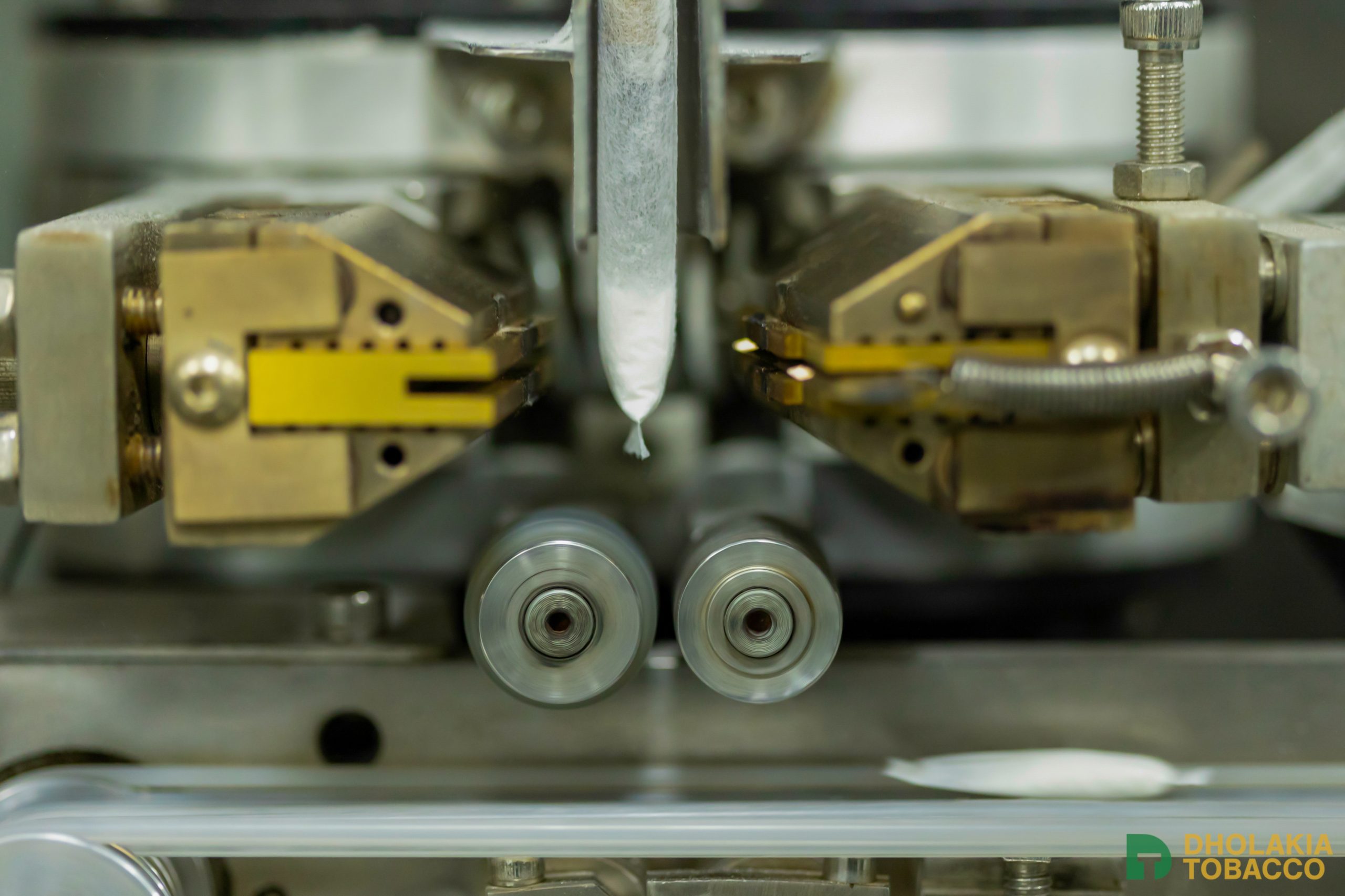 20241015-Copy of 2O3A8388-2