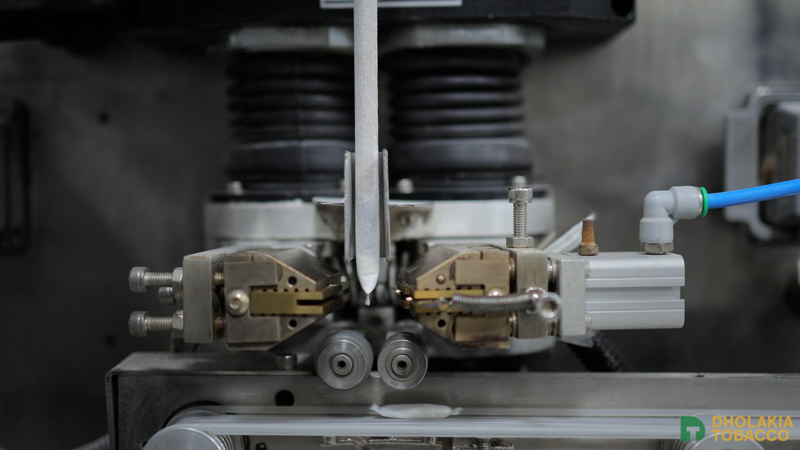 20250313-01A9EA7D-E025-40F4-AFB1-1494B62E369E_1_102_o